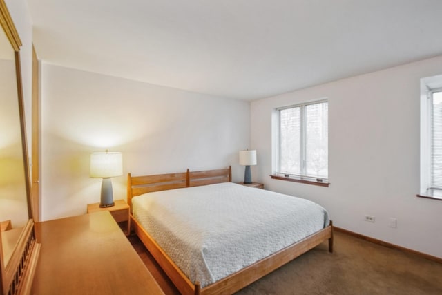 801 S Plymouth Ct Unit P, Chicago, IL 60605 - bedroom with baseboards and carpet