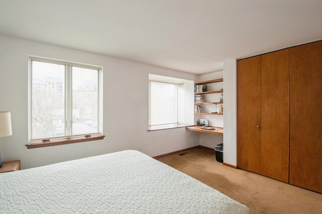 801 S Plymouth Ct Unit P, Chicago, IL 60605 - bedroom with a closet, baseboards, visible vents, built in desk, and carpet flooring