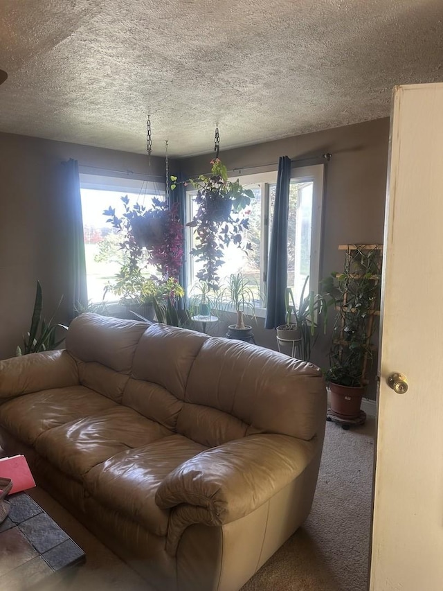 living area featuring carpet flooring and a textured ceiling