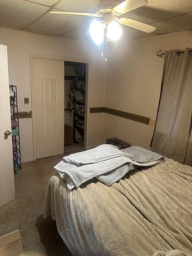 bedroom with carpet floors, ceiling fan, a closet, and a paneled ceiling