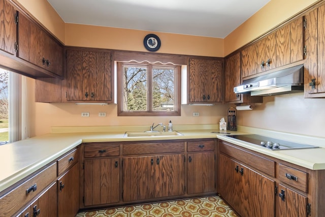 kitchen featuring light countertops, under cabinet range hood, brown cabinets, black electric cooktop, and a sink