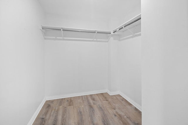 walk in closet featuring wood finished floors