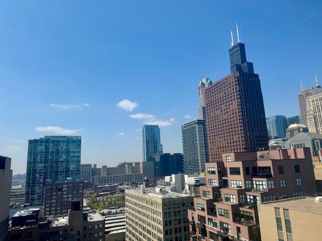 600 S Dearborn St Unit 1603, Chicago, IL 60605 - view of city