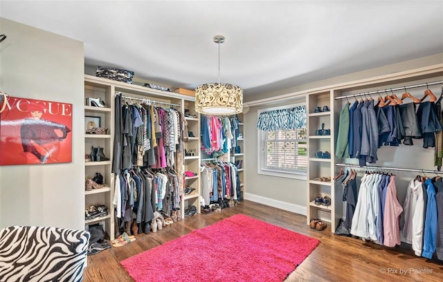 walk in closet with wood finished floors