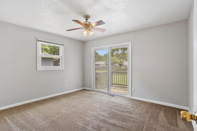 2409 Valkar Ln, Champaign, IL 61822 - empty room with plenty of natural light, carpet flooring, ceiling fan, and a textured ceiling