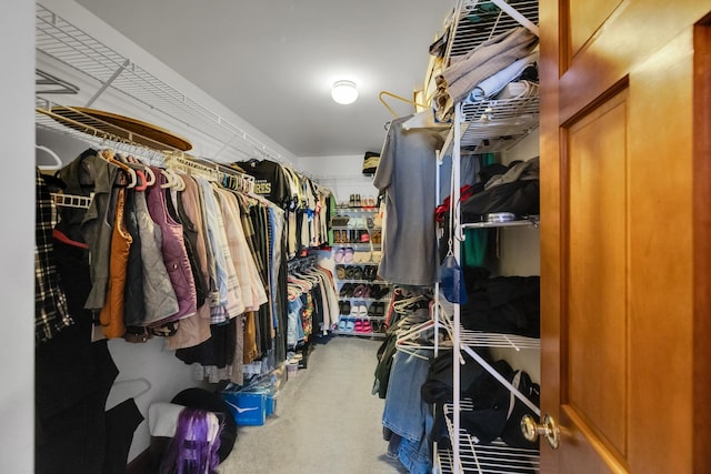 1581 Hunting Hound Ln, Bartlett, IL 60103 - walk in closet with carpet