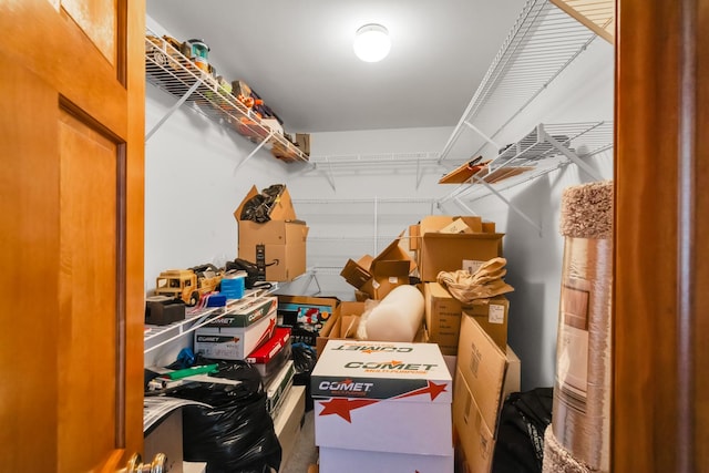 1581 Hunting Hound Ln, Bartlett, IL 60103 - view of storage
