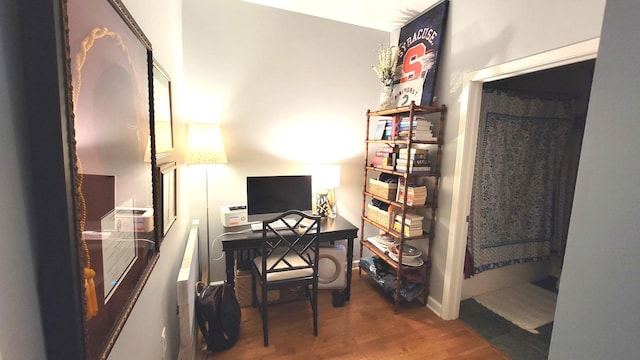 office featuring wood finished floors