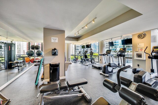 exercise room with track lighting, a wealth of natural light, and expansive windows