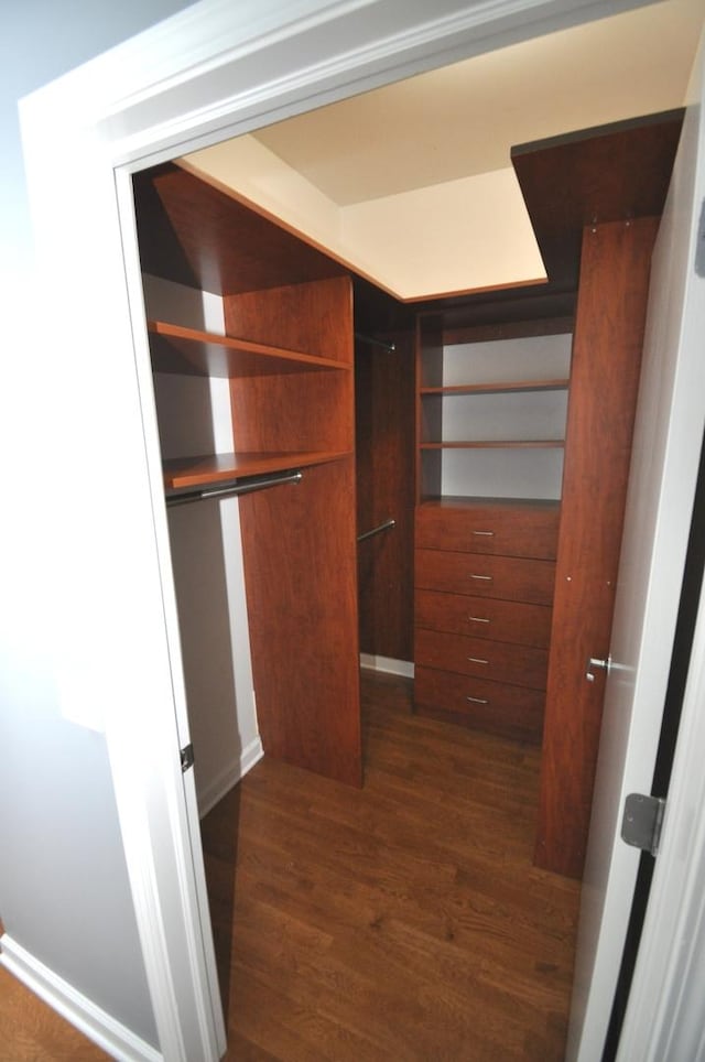 walk in closet featuring dark wood-style floors