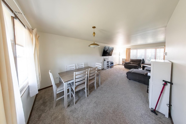 22604 Lakeshore Dr, Richton Park, IL 60471 - photo 14