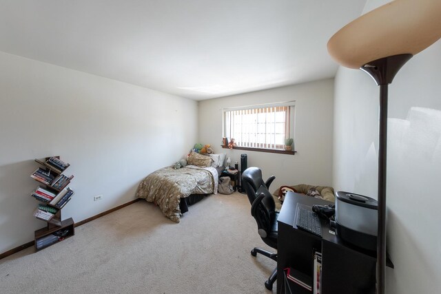 22604 Lakeshore Dr, Richton Park, IL 60471 - photo 25