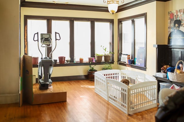 bedroom featuring ornamental molding, baseboards, multiple windows, and hardwood / wood-style flooring