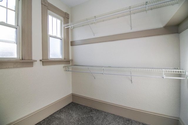 505 S Indiana Ave, Kankakee, IL 60901 - view of walk in closet