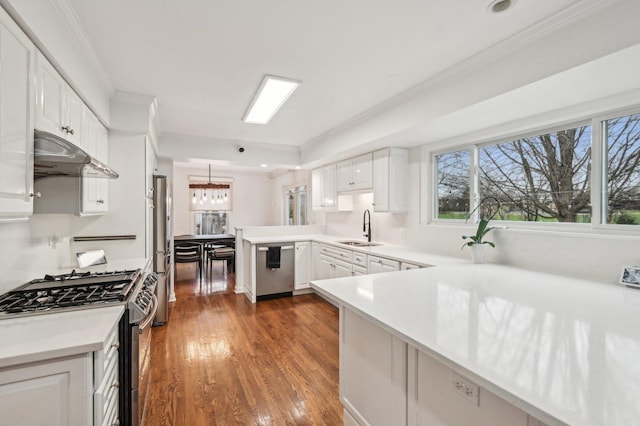kitchen with ornamental molding, a peninsula, under cabinet range hood, a sink, and appliances with stainless steel finishes