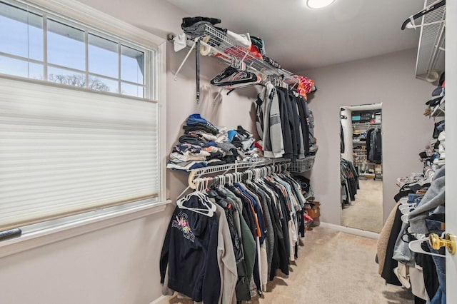 walk in closet featuring carpet flooring