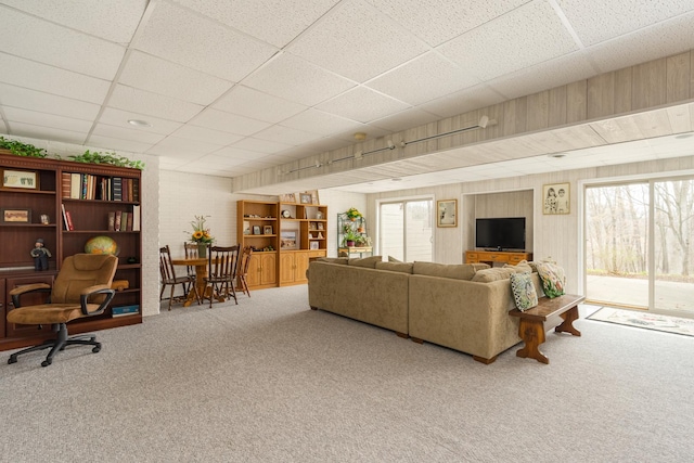 living area featuring a paneled ceiling, carpet flooring, and plenty of natural light