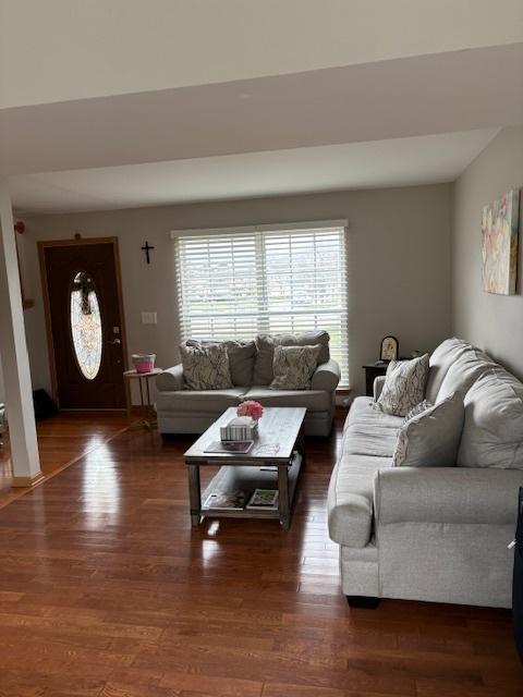 678 Meridian Way, Antioch, IL 60002 - living room featuring wood finished floors