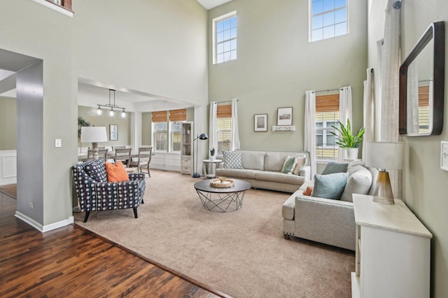 living area featuring carpet flooring and wood finished floors