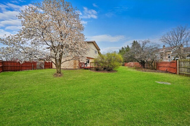 11343 Brook Hill Dr, Orland Park, IL 60467 - photo 32