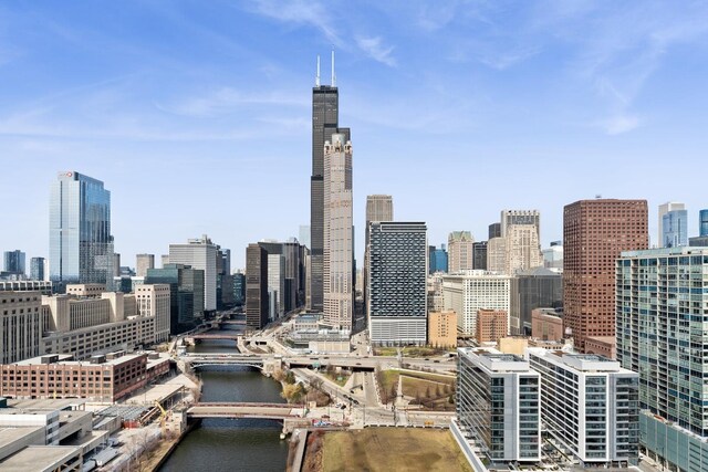 234 W Polk St Unit 3002, Chicago, IL 60607 - photo 38