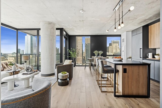 234 W Polk St Unit 3002, Chicago, IL 60607 - photo 5