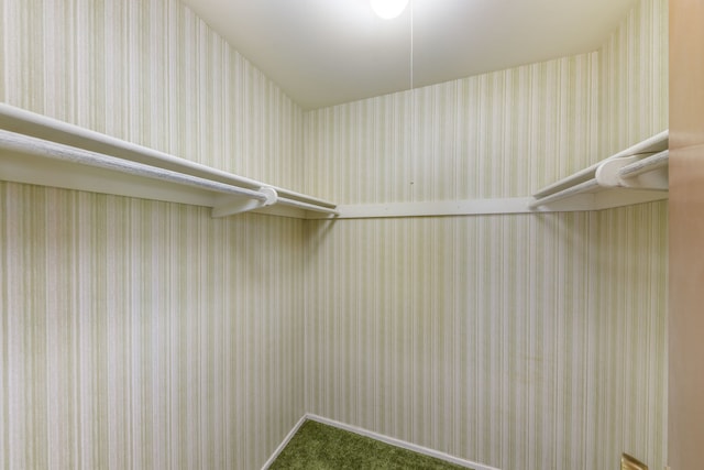 2S154 Lloyd Ave, Lombard, IL 60148 - spacious closet with carpet floors