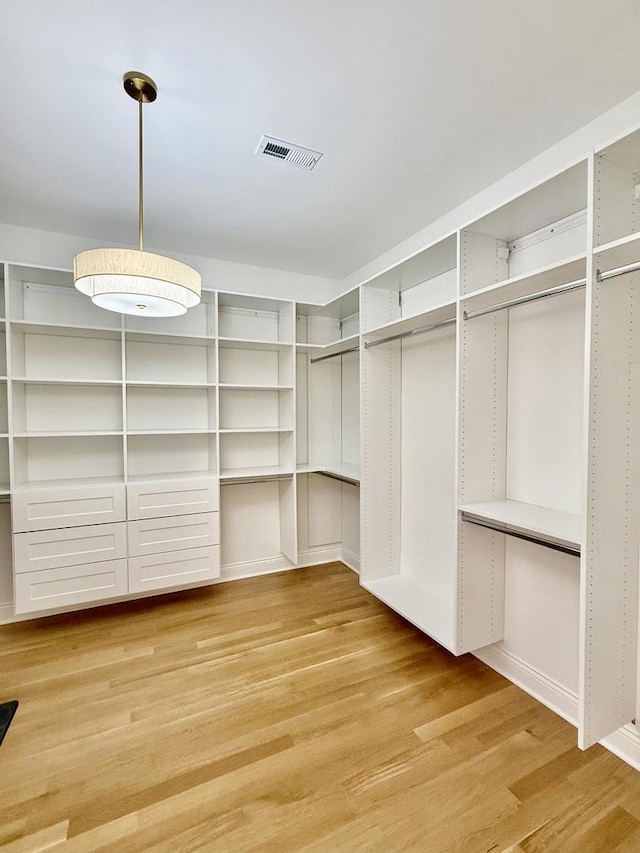spacious closet featuring visible vents and light wood-type flooring