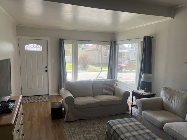 living area featuring ornamental molding, wood finished floors, and plenty of natural light