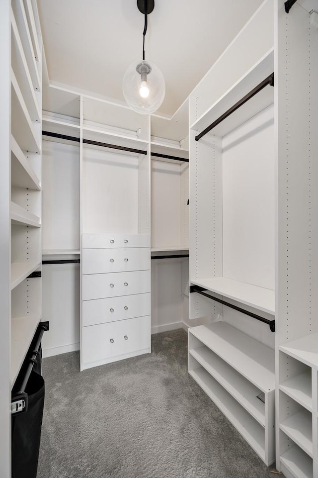 walk in closet with carpet flooring