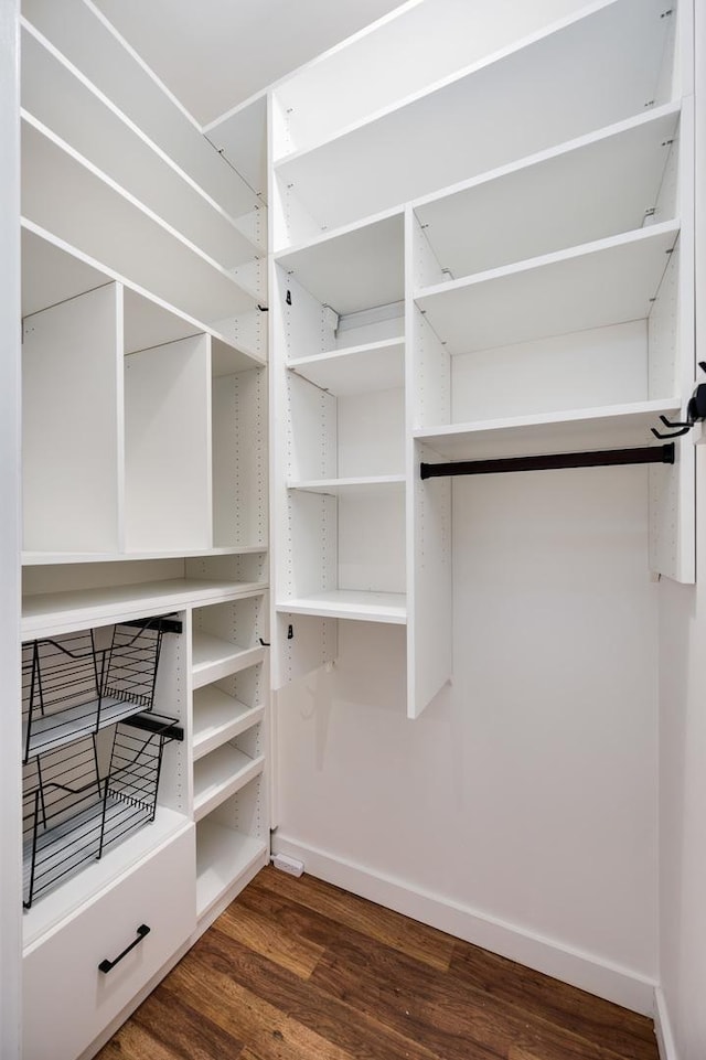 walk in closet with dark wood-style flooring