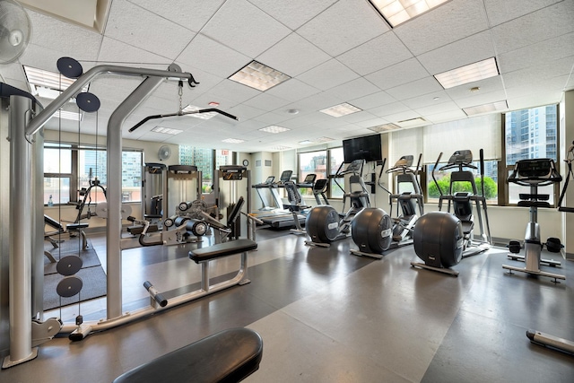 workout area with a paneled ceiling and a healthy amount of sunlight