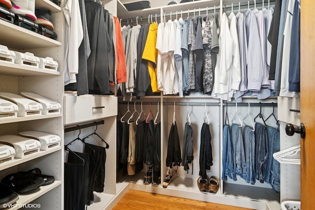22846 W Lochanora Dr, Hawthorn Woods, IL 60047 - spacious closet featuring wood finished floors
