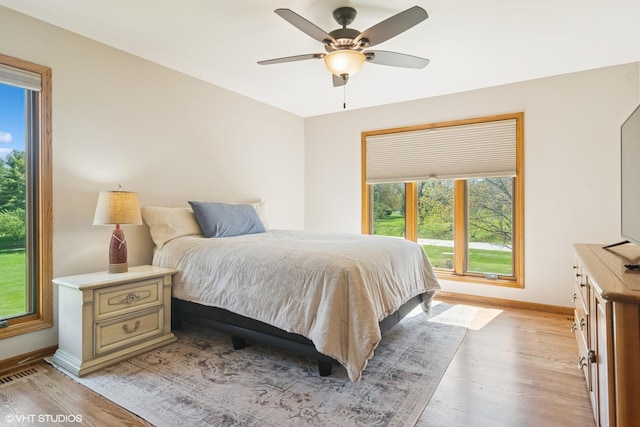 22846 W Lochanora Dr, Hawthorn Woods, IL 60047 - bedroom featuring multiple windows, baseboards, light wood finished floors, and a ceiling fan