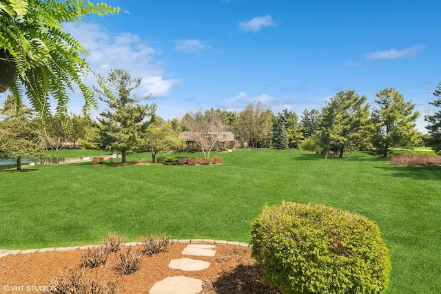 22846 W Lochanora Dr, Hawthorn Woods, IL 60047 - view of grassy yard