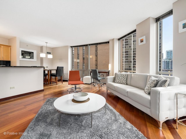 222 N Columbus Dr Unit 809, Chicago, IL 60601 - living room with a wall of windows, wood finished floors, and a healthy amount of sunlight