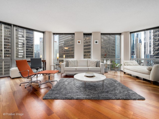222 N Columbus Dr Unit 809, Chicago, IL 60601 - living area featuring floor to ceiling windows, wood finished floors, a city view, and plenty of natural light