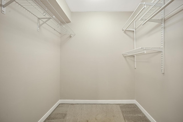 924 Coach Rd Unit 1, Palatine, IL 60074 - walk in closet with carpet