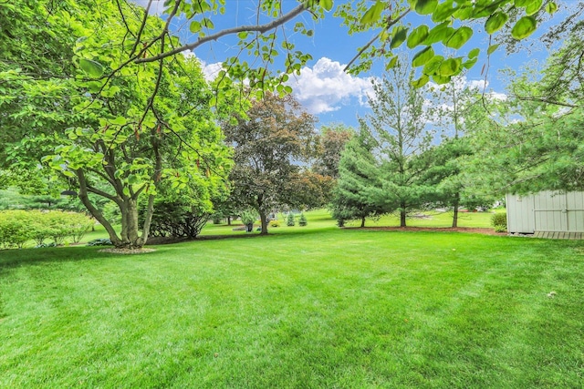 1104 Parkview Dr, Mahomet, IL 61853 - view of grassy yard with an outdoor structure