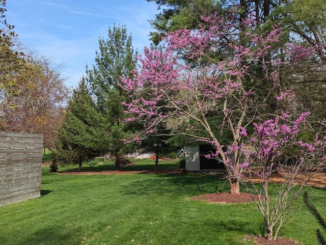 1104 Parkview Dr, Mahomet, IL 61853 - view of grassy yard