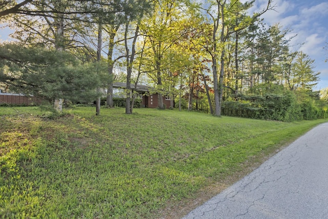 14750 W Hickory Ave, Lemont, IL 60439 - view of green lawn