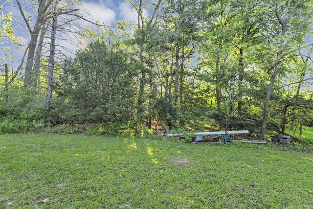 14750 W Hickory Ave, Lemont, IL 60439 - view of grassy yard