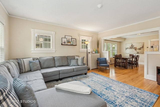 406 S Evergreen Ave, Arlington Heights, IL 60005 - living area with crown molding, light wood finished floors, and baseboards