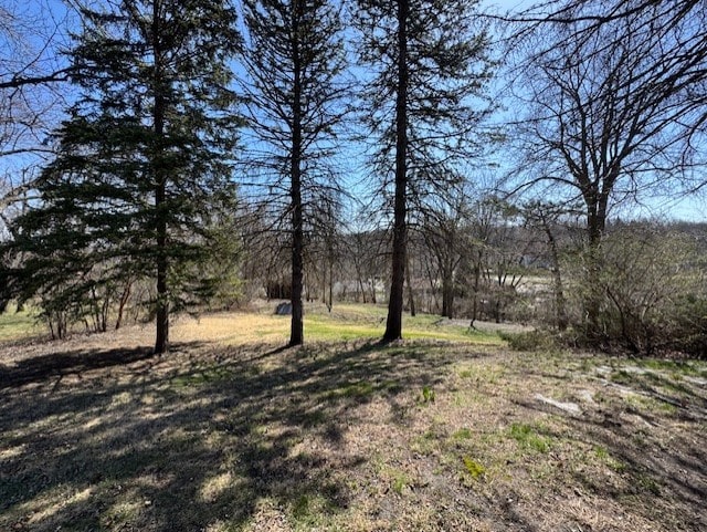 707 Crestview Dr, Ingleside, IL 60041 - view of yard