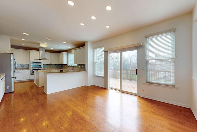 kitchen with tasteful backsplash, a sink, ventilation hood, light wood finished floors, and stainless steel appliances