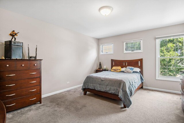 570 Mallard Point Dr, North Aurora, IL 60542 - photo 25