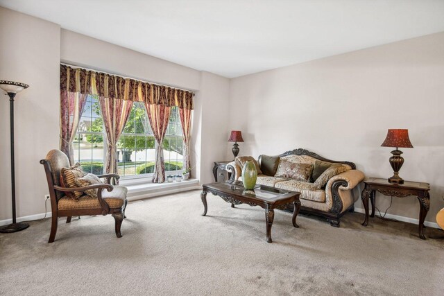 570 Mallard Point Dr, North Aurora, IL 60542 - photo 6