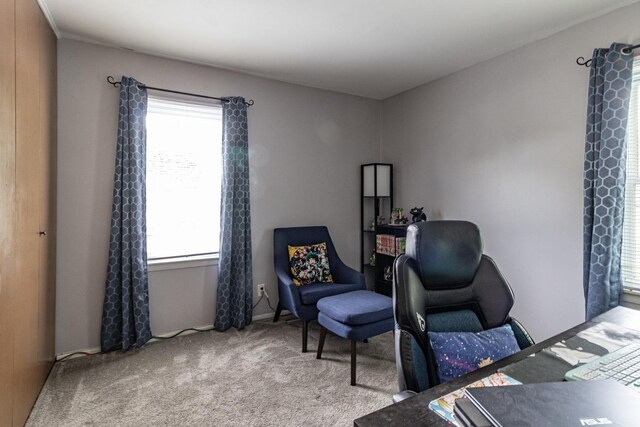 living area featuring carpet, plenty of natural light, and baseboards