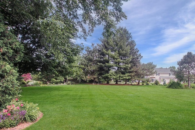 37 River Ridge Drive, Sleepy Hollow, IL 60118 - view of grassy yard