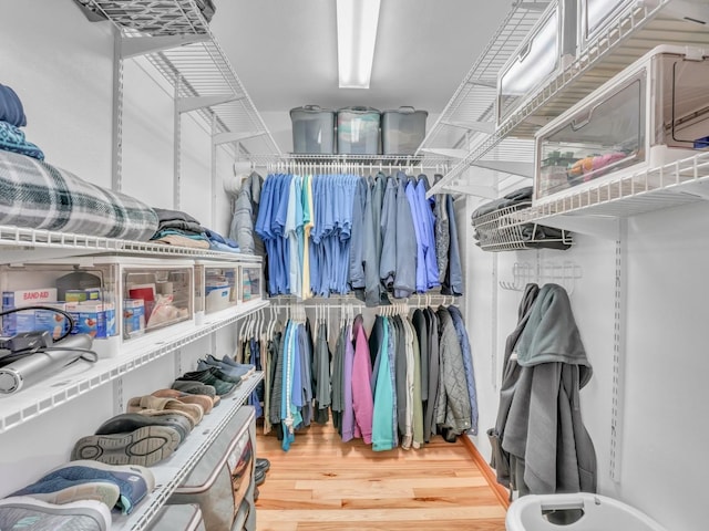 walk in closet featuring wood finished floors